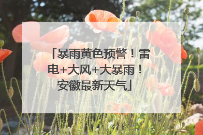 暴雨黄色预警！雷电+大风+大暴雨！安徽最新天气