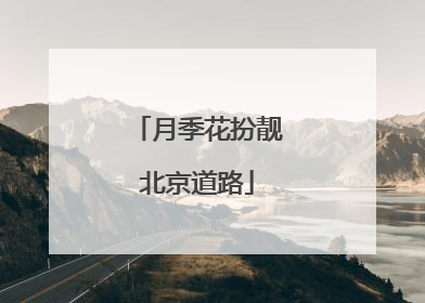 月季花扮靓北京道路