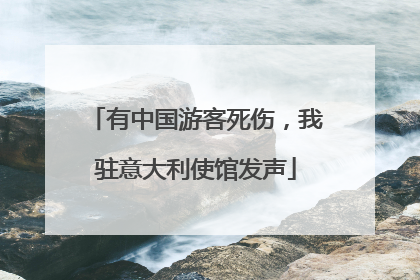 有中国游客死伤，我驻意大利使馆发声