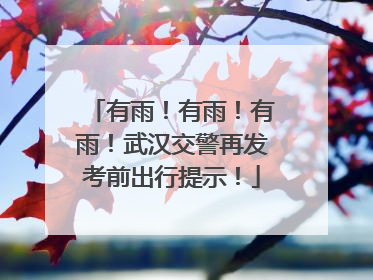 有雨！有雨！有雨！武汉交警再发考前出行提示！
