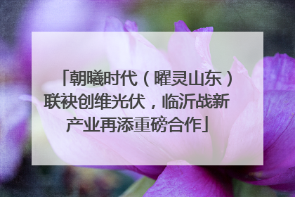 朝曦时代（曜灵山东）联袂创维光伏，临沂战新产业再添重磅合作