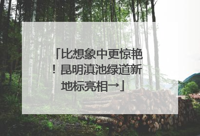 比想象中更惊艳！昆明滇池绿道新地标亮相→