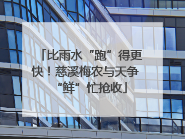 比雨水“跑”得更快！慈溪梅农与天争“鲜”忙抢收