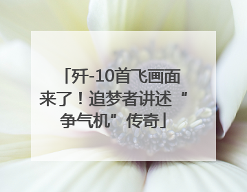 歼-10首飞画面来了！追梦者讲述“争气机”传奇