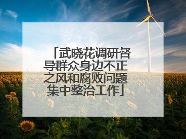 武晓花调研督导群众身边不正之风和腐败问题集中整治工作
