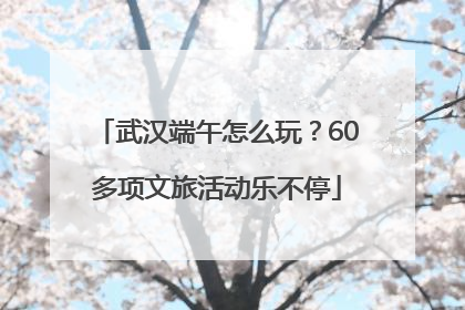武汉端午怎么玩？60多项文旅活动乐不停