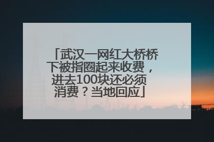 武汉一网红大桥桥下被指圈起来收费，进去100块还必须消费？当地回应