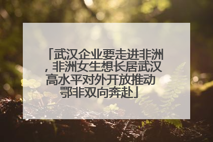 武汉企业要走进非洲，非洲女生想长居武汉 高水平对外开放推动鄂非双向奔赴
