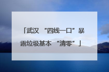 武汉 “四线一口”暴露垃圾基本 “清零”