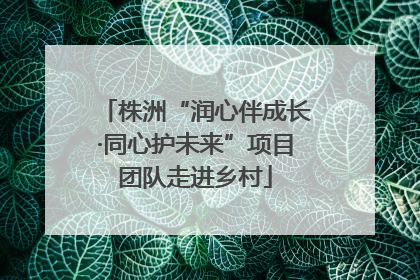 株洲“润心伴成长·同心护未来”项目团队走进乡村