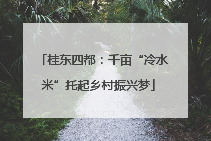 桂东四都：千亩“冷水米”托起乡村振兴梦