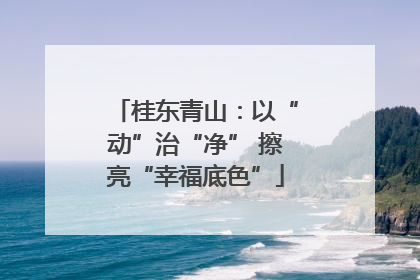 桂东青山：以“动”治“净” 擦亮“幸福底色”