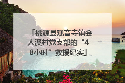 桃源县观音寺镇会人溪村党支部的“48小时”救援纪实