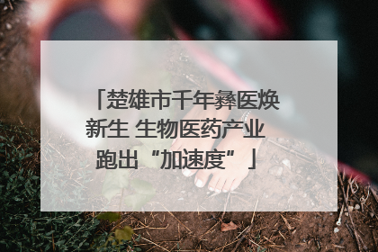 楚雄市千年彝医焕新生 生物医药产业跑出“加速度”