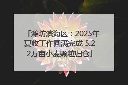 潍坊滨海区：2025年夏收工作圆满完成 5.22万亩小麦颗粒归仓