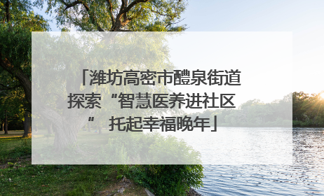 潍坊高密市醴泉街道探索“智慧医养进社区” 托起幸福晚年