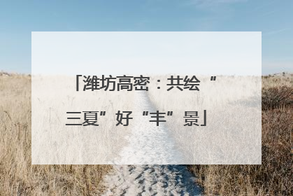 潍坊高密：共绘“三夏”好“丰”景