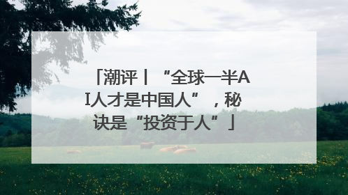 潮评丨“全球一半AI人才是中国人”，秘诀是“投资于人”