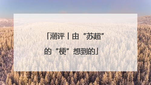 潮评丨由“苏超”的“梗”想到的