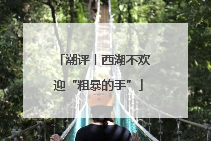 潮评丨西湖不欢迎“粗暴的手”