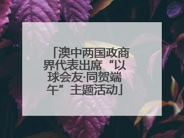 澳中两国政商界代表出席“以球会友·同贺端午”主题活动