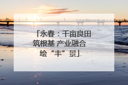 永春：千亩良田筑根基 产业融合绘“丰”景