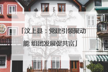 汶上县：党建引领聚动能 组团发展促共富