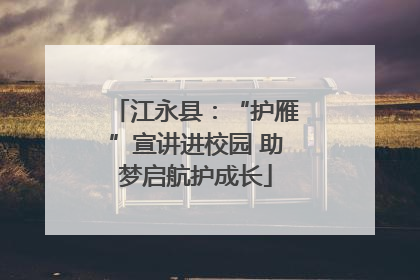 江永县：“护雁”宣讲进校园 助梦启航护成长