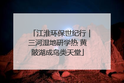 江淮环保世纪行｜三河湿地研学热 黄陂湖成鸟类天堂