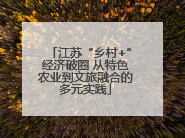 江苏“乡村+”经济破圈 从特色农业到文旅融合的多元实践