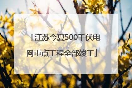 江苏今夏500千伏电网重点工程全部竣工