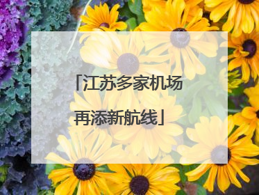 江苏多家机场再添新航线