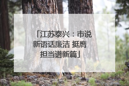 江苏泰兴：市说新语话廉洁 挺膺担当谱新篇