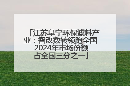 江苏阜宁环保滤料产业：智改数转领跑全国 2024年市场份额占全国三分之一