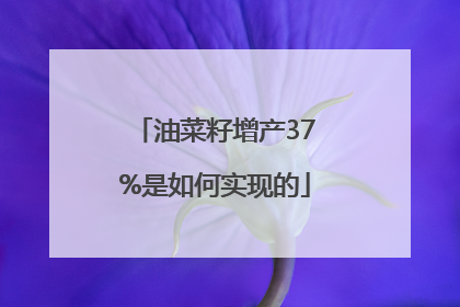 油菜籽增产37%是如何实现的