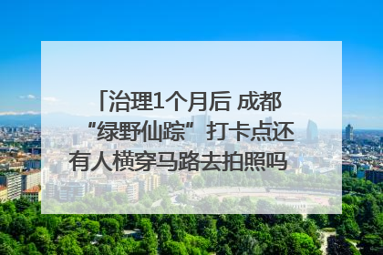 治理1个月后 成都“绿野仙踪”打卡点还有人横穿马路去拍照吗？｜民情瞭望