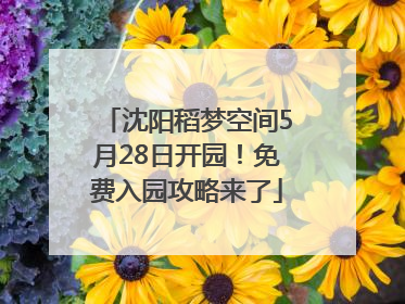 沈阳稻梦空间5月28日开园！免费入园攻略来了