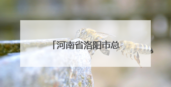 河南省洛阳市总工会召开乡村振兴工作座谈交流会