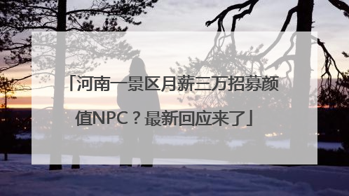 河南一景区月薪三万招募颜值NPC？最新回应来了