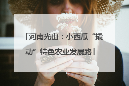河南光山：小西瓜“撬动”特色农业发展路