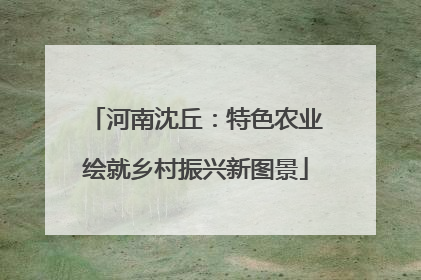 河南沈丘：特色农业绘就乡村振兴新图景