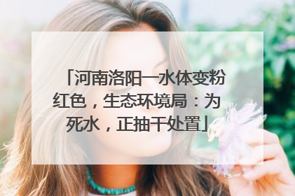河南洛阳一水体变粉红色，生态环境局：为死水，正抽干处置