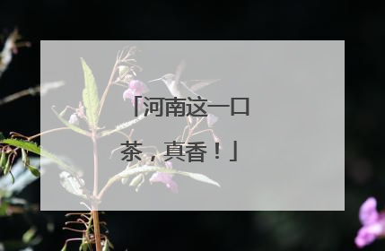 河南这一口茶，真香！