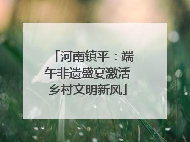 河南镇平：端午非遗盛宴激活乡村文明新风