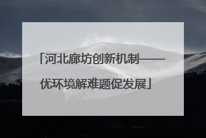 河北廊坊创新机制——优环境解难题促发展