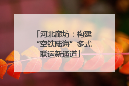 河北廊坊：构建“空铁陆海”多式联运新通道