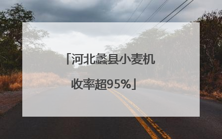 河北蠡县小麦机收率超95%