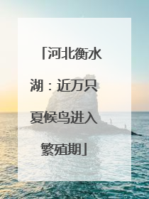 河北衡水湖：近万只夏候鸟进入繁殖期