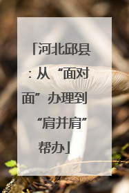 河北邱县：从“面对面”办理到“肩并肩”帮办