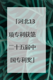 河北13项专利获第二十五届中国专利奖